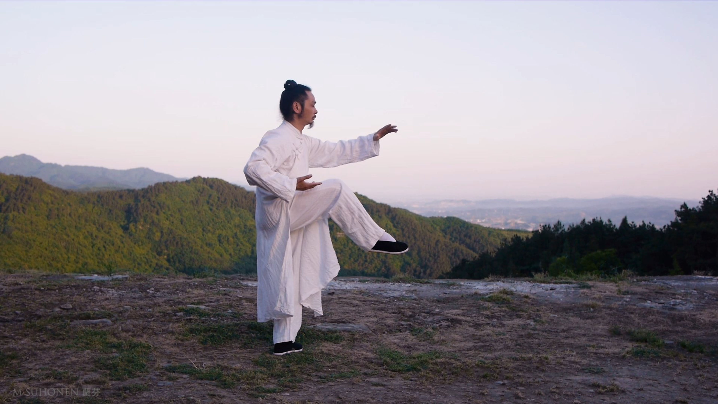 Wudang Tai Chi 13 form by Master Chen Shiyu 陈师宇